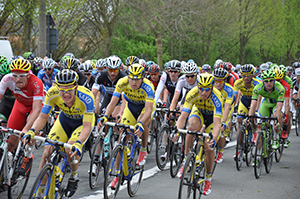 De Ronde van Vlaanderen aan de vakantiewoning.